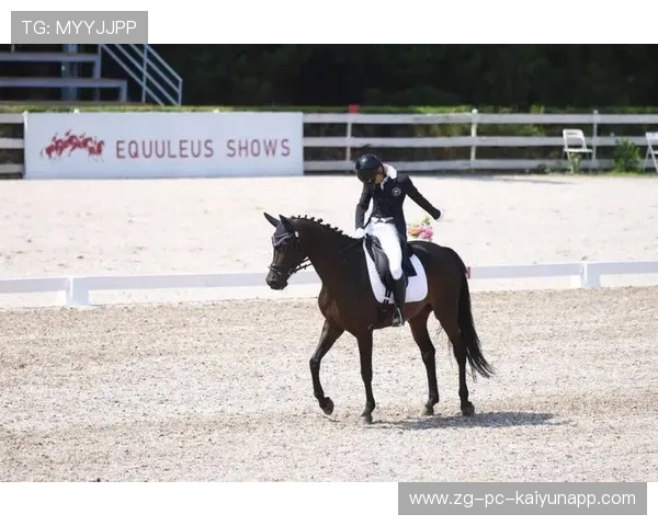 美国马术协会建立马匹基因数据库，促进马匹选育与训练。，美国马术比赛